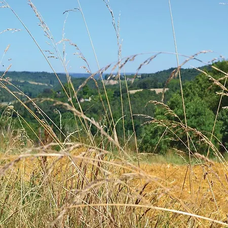 Holiday Maison Neuve H 612